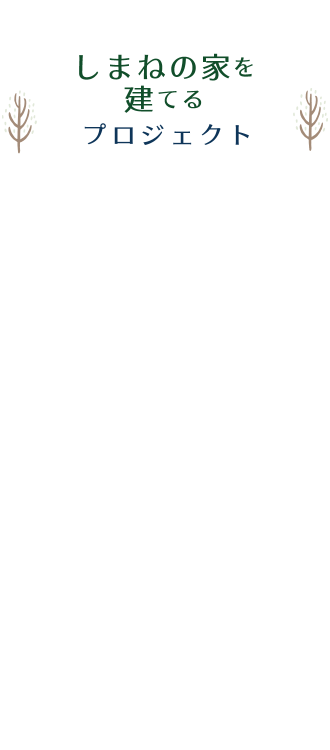 しまねの材料を使ってしまねの職人が建てるしまねの風土に最適な家　それが“しまねの家”